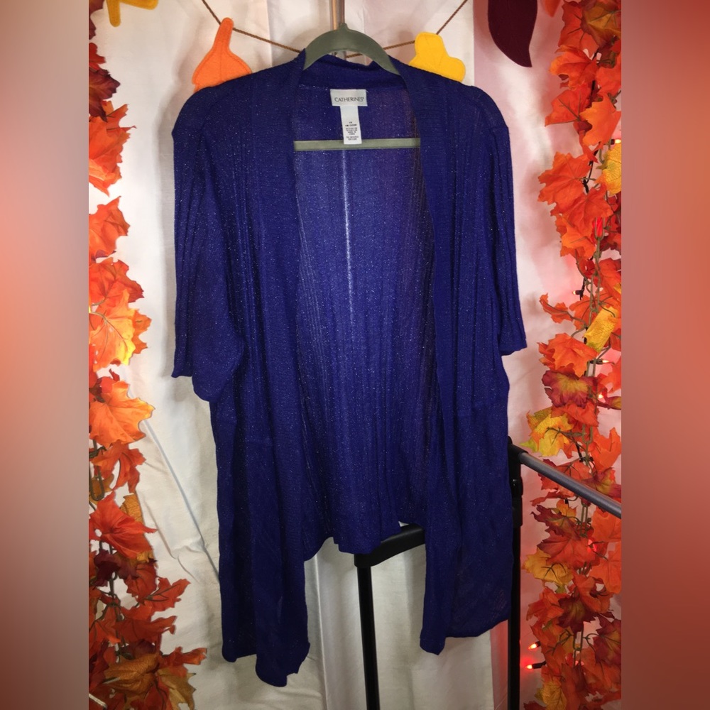 Catherines | Women’s Blue Shimmery Short Sleeve Sweater